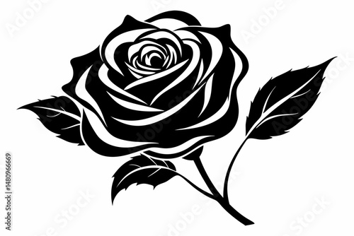 rose silhouette line art vector illustration with a white background
