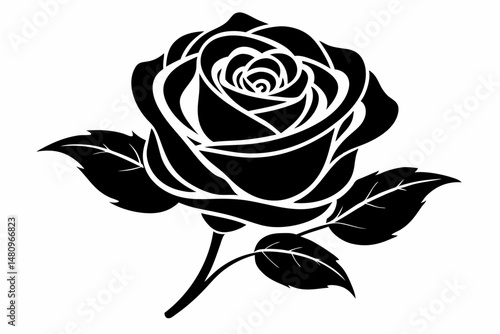 rose silhouette line art vector illustration with a white background