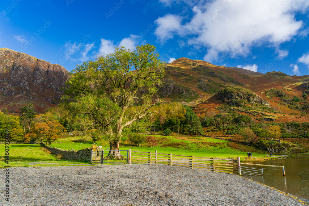 Buttermere lake shore in Lake District. England