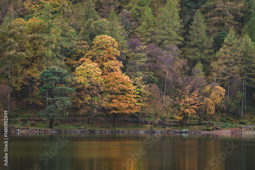 Obraz na płótnie Beautiful autumn trees at the shore of Buttermere lake in Lake District. UK w salonie