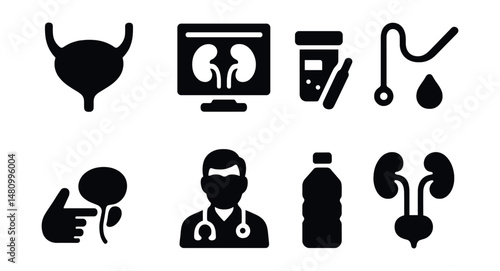 Solid style icons of urology: bladder icon, kidney scan, urine test, catheter, prostate exam, urologist, hydration icon, urinary system.