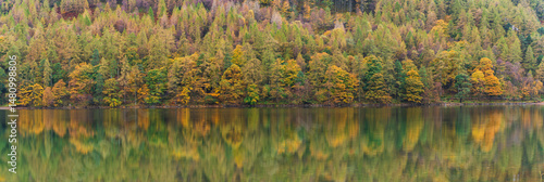 Obraz na płótnie Colorful autumn trees with reflection. Buttermere lake in Lake District. Cumbria. UK w salonie
