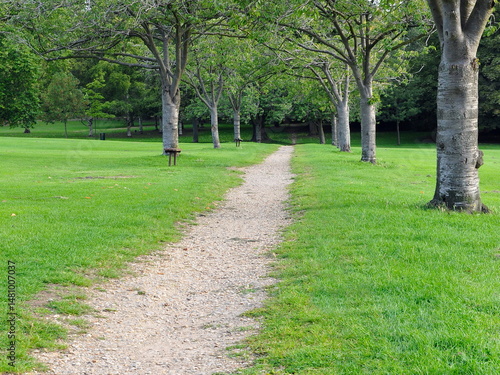 View of a gravel path across a tree lined grass lawn in a beautiful park 
