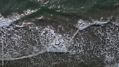 Wallpaper Mural crocodile in water Torontodigital.ca