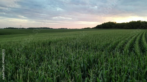 A slice of Iowa that is just like the field of dreams.  This romantic summer sunset makes you almost feel like you are part of a movie. 