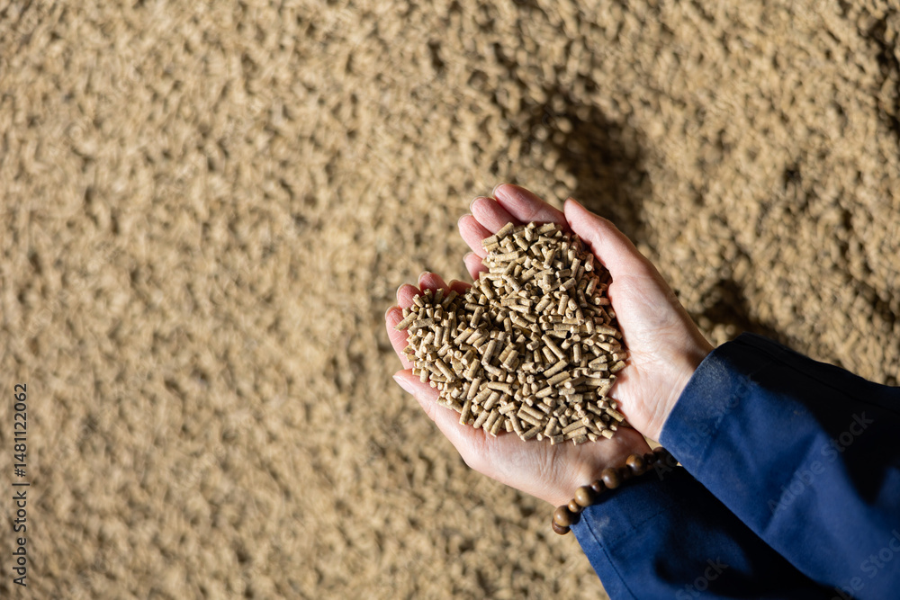 Compressed fodder, calf feed, in hands of unrecognizable farmer. Abundance of animale food.