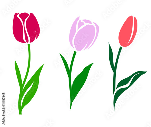 Wallpaper Mural Three Colorful Tulips with Green Leaves. Spring Flowers in Bloom, Gardening and Floral Decoration Motif Torontodigital.ca