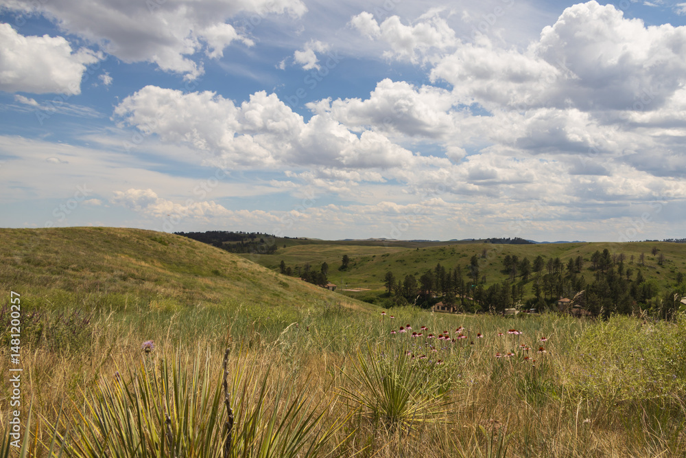 Fototapeta premium Wind Cave National Park, South Dakota