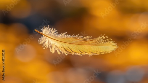 Floating golden feather against a blurred autumnal background.