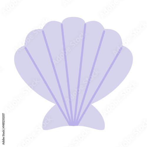 shell on white background