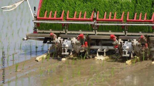 日本で田植え機を使って田植えをしている