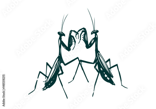 Mantis Hand Drawn Natural Illustration Vector Isolated by AZ for Books, Arts, Design and Decoration Graphic Asset
