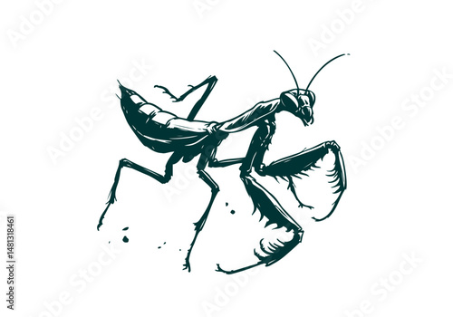 Mantis Hand Drawn Natural Illustration Vector Isolated by AZ for Books, Arts, Design and Decoration Graphic Asset