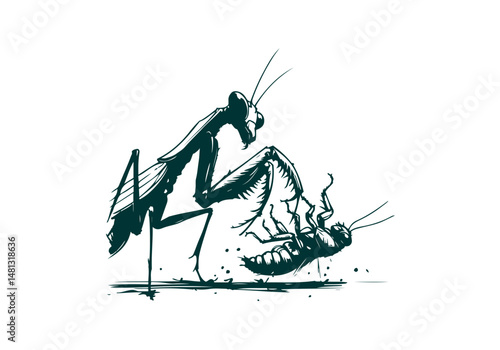 Mantis Hand Drawn Natural Illustration Vector Isolated by AZ for Books, Arts, Design and Decoration Graphic Asset