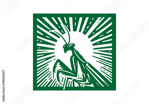 Mantis Hand Drawn Natural Illustration Stylized as Linocut Vector Isolated by AZ for Books, Arts, Design and Decoration Graphic Asset