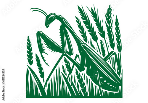 Mantis Hand Drawn Natural Illustration Stylized as Linocut Vector Isolated by AZ for Books, Arts, Design and Decoration Graphic Asset