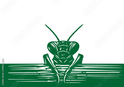 Mantis Hand Drawn Natural Illustration Stylized as Linocut Vector Isolated by AZ for Books, Arts, Design and Decoration Graphic Asset