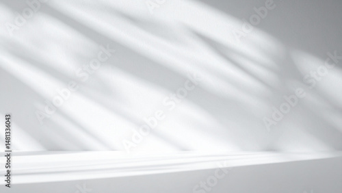 光の入った白い壁と植物の影
