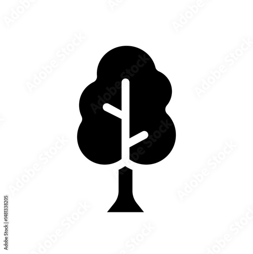 ash tree 