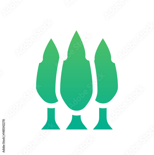 poplar tree 