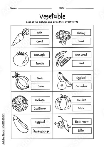 Meaning matching worksheet vegetables 