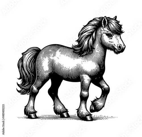 Illustration of Horse Walking with Detailed Black and White Line Art Engrave Style