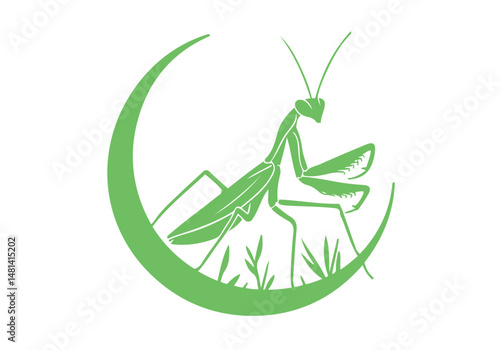 Mantis Hand Drawn Simple Illustration Vector Isolated by AZ for Books, Arts, Design and Decoration Graphic Asset