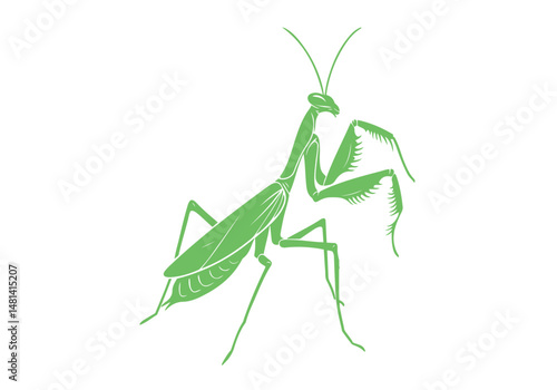 Mantis Hand Drawn Simple Illustration Vector Isolated by AZ for Books, Arts, Design and Decoration Graphic Asset
