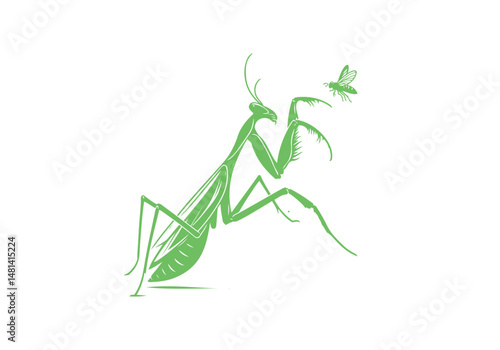 Mantis Hand Drawn Simple Illustration Vector Isolated by AZ for Books, Arts, Design and Decoration Graphic Asset