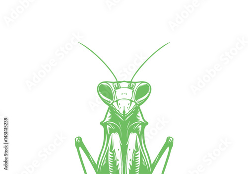 Mantis Hand Drawn Simple Illustration Vector Isolated by AZ for Books, Arts, Design and Decoration Graphic Asset
