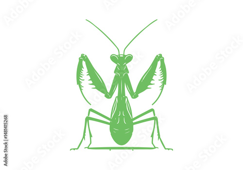 Mantis Hand Drawn Simple Illustration Vector Isolated by AZ for Books, Arts, Design and Decoration Graphic Asset