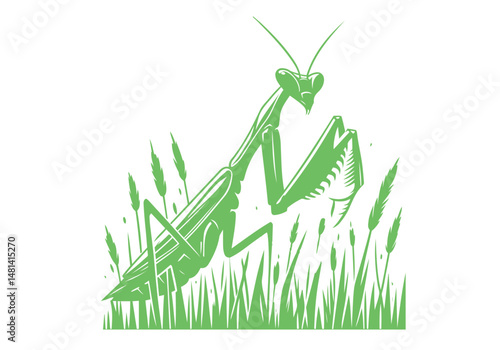 Mantis Hand Drawn Simple Illustration Vector Isolated by AZ for Books, Arts, Design and Decoration Graphic Asset