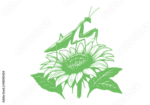Mantis Hand Drawn Simple Illustration Vector Isolated by AZ for Books, Arts, Design and Decoration Graphic Asset