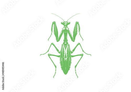 Mantis Hand Drawn Simple Illustration Vector Isolated by AZ for Books, Arts, Design and Decoration Graphic Asset