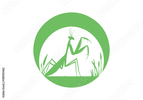 Mantis Hand Drawn Simple Illustration Vector Isolated by AZ for Books, Arts, Design and Decoration Graphic Asset