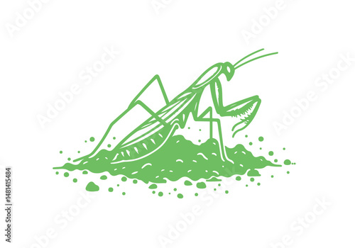 Mantis Hand Drawn Simple Illustration Vector Isolated by AZ for Books, Arts, Design and Decoration Graphic Asset