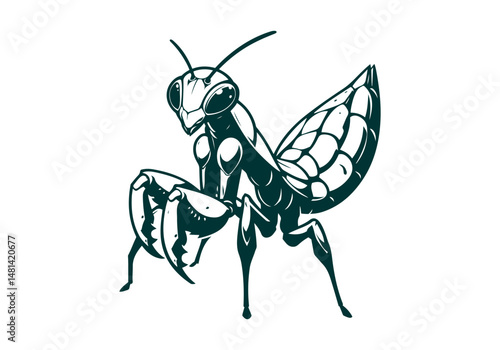 Mantis Hand Drawn Illustration Vector Isolated by AZ for Books, Arts, Design and Decoration Graphic Asset