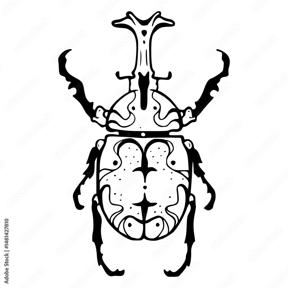 decorative bug outline decorative bug outline