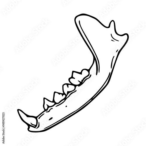 outline jawbone design