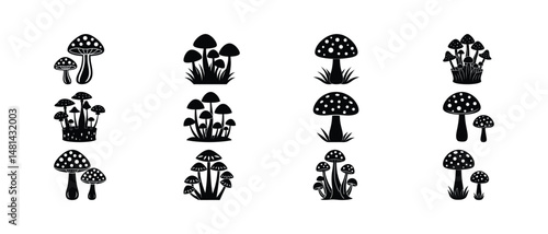 Set of black and white mushroom illustrations representing various designs and arrangements