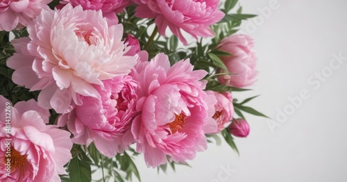 Wallpaper Mural Vibrant pink peonies and roses bouquet  White background, copy space , wedding, beautiful Torontodigital.ca