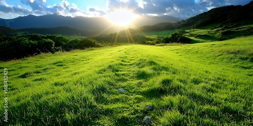 Wallpaper Mural Green Field Sunset Scene Torontodigital.ca