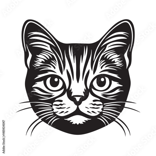 American shorthair cat face portrait, black outline clipart style illustration, transparent background vector