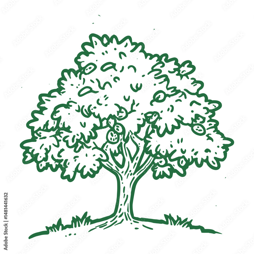 Fototapeta premium Oak tree drawing art illustration vector