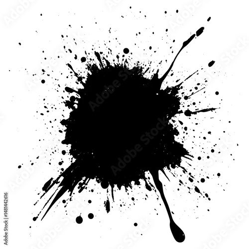 Dirt brush splatter stain black vector