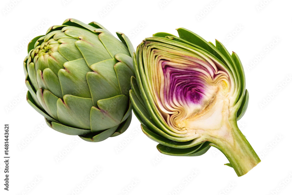 Fototapeta premium artichoke isolated on white