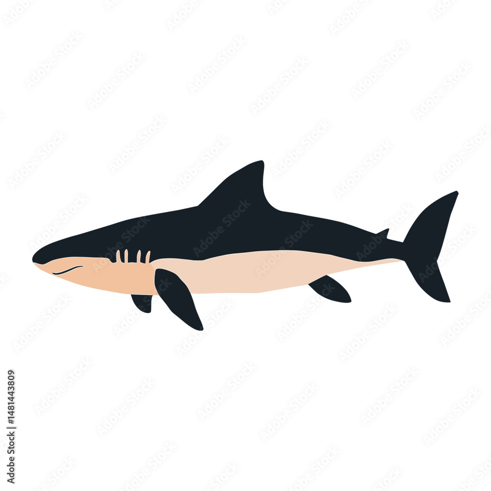 Fototapeta premium Shark illustration minimalist underwater vector