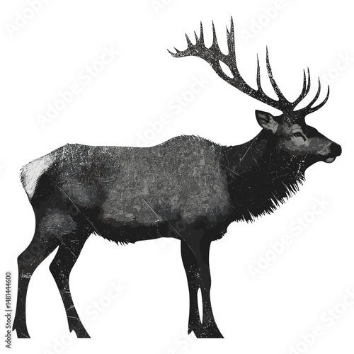 Majestic elk with antlers illustration wildlife black vector