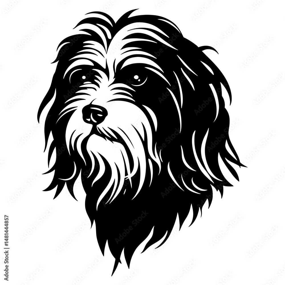 Collection portrait Havanese dog art illustration graphic vector Collection portrait Havanese dog art illustration graphic vector