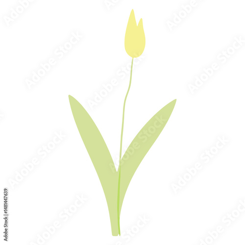 Cute fresh spring vibes illustration minimalist flower vector
